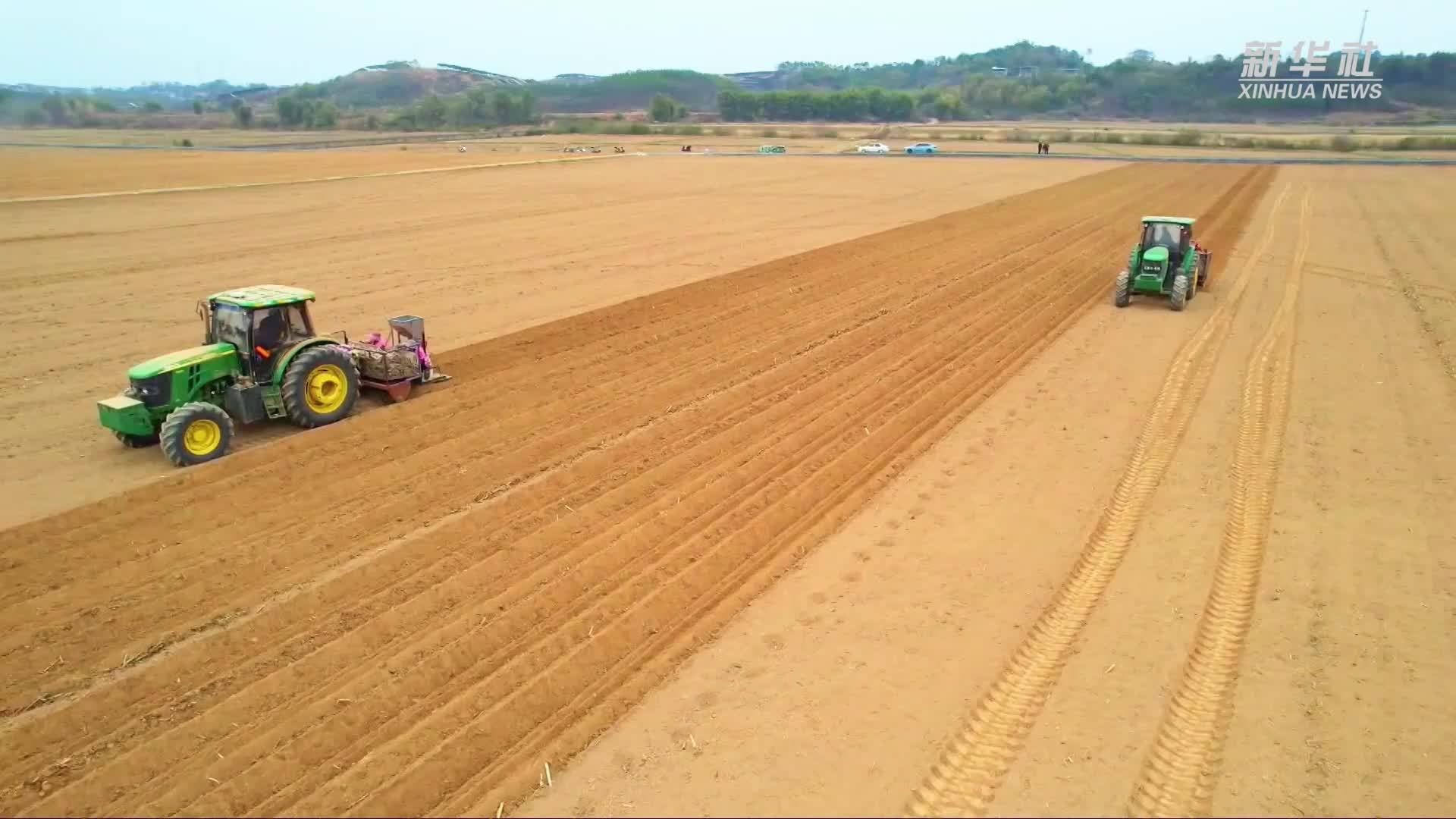 春天里的中国｜广西来宾：智慧农业跑出春耕“加速度”