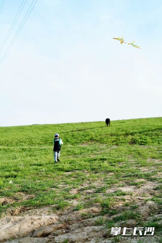 春的色彩已经急不可耐爬上“画布”，人们纷纷走出家门，踏春赏景。 均为长沙晚报全媒体记者 舒元臻摄