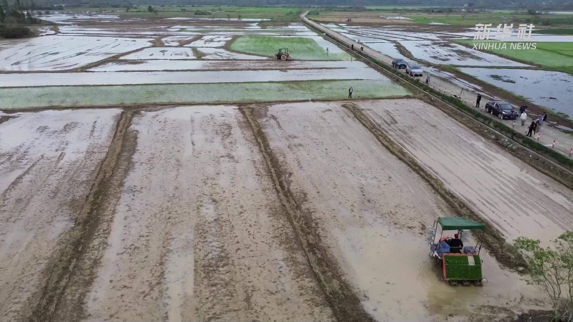 海南春耕季：不负好春光，乡村振兴正当时