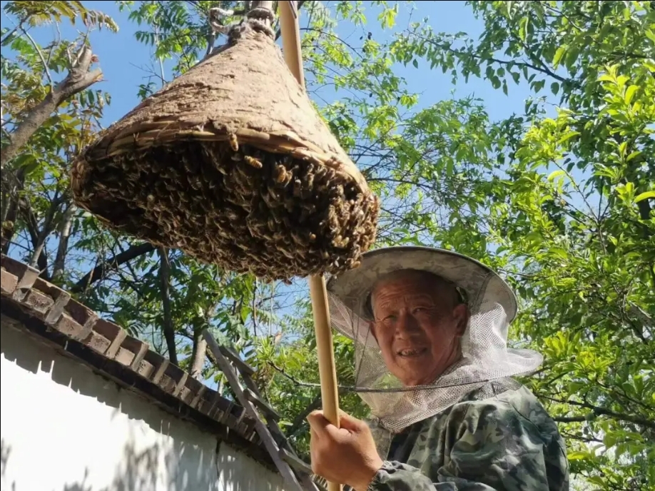 华亭谋甜蜜事业　众乡亲“蜂”生水起