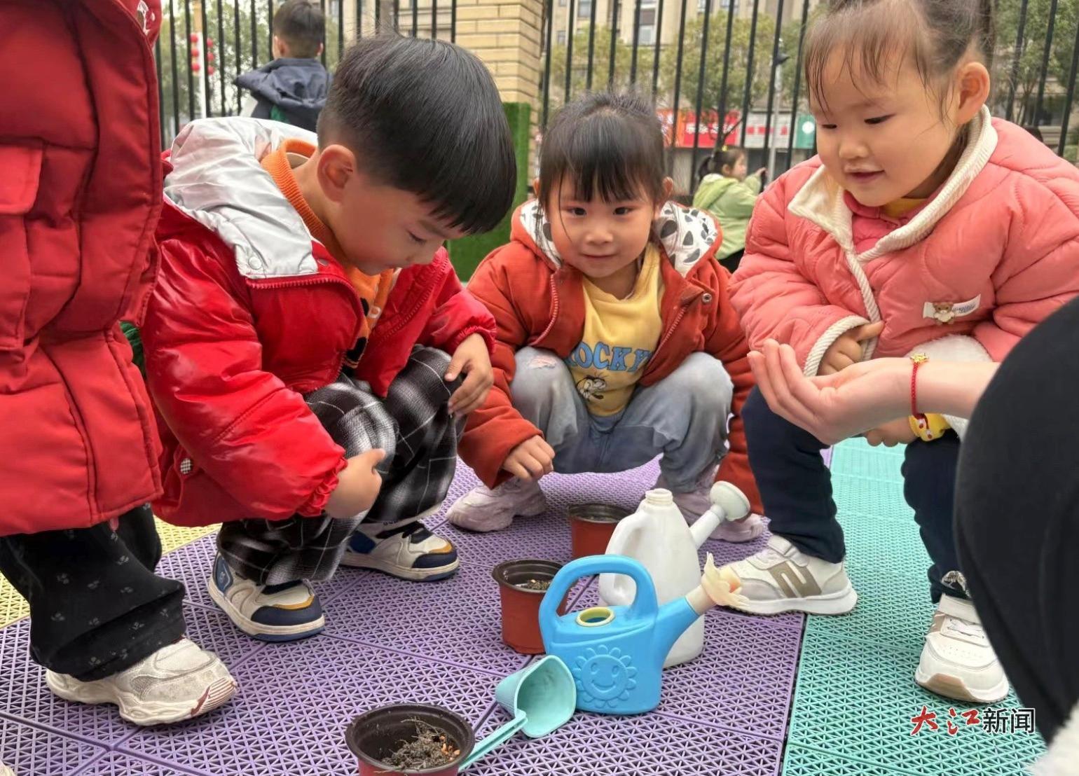 孩子们在校园内种植培育花苗