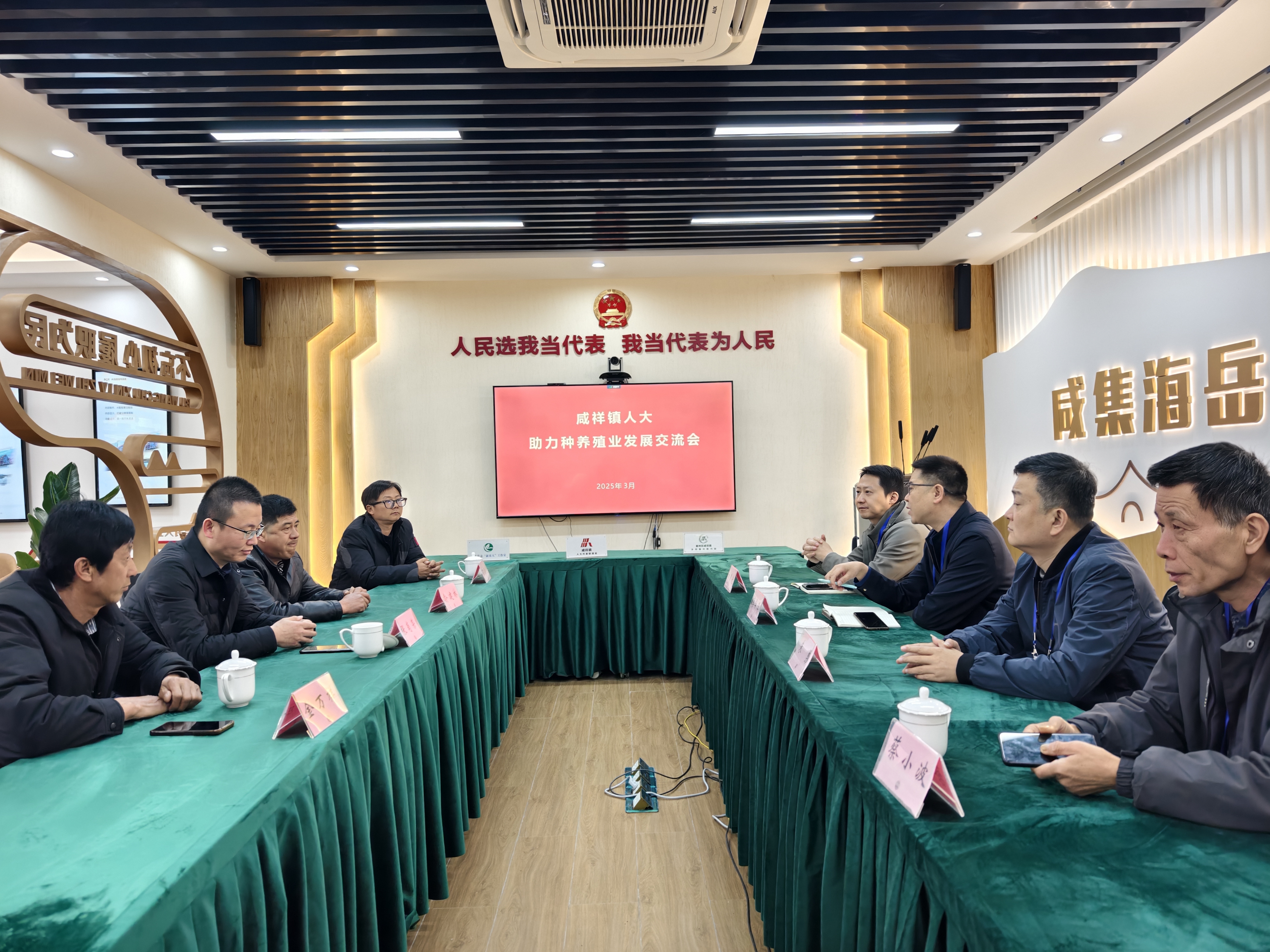 草莓飘香引客来 咸祥人大代表“鲜2°”共富舱打开新销路