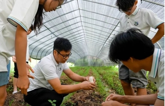 驻村干部带领“火车头”大思政实践队成员在竹荪大棚进行采摘作业