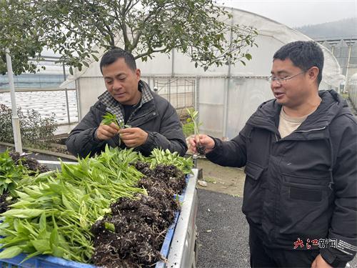 朱德彬(右)介绍育苗情况(李桂明 摄)