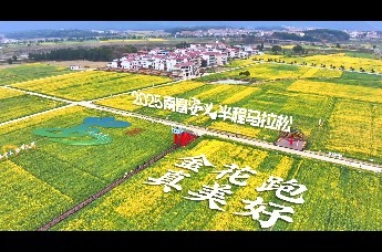 宣传片 | “金花跑·真美好”2025南昌安义半程马拉松