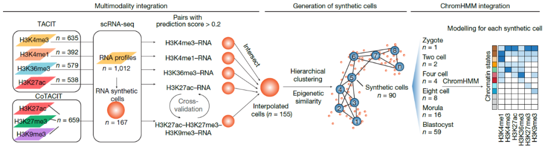 (图2. 以scRNA-seq数据为纽带整合了多模态组蛋白修饰数据分析流程图)