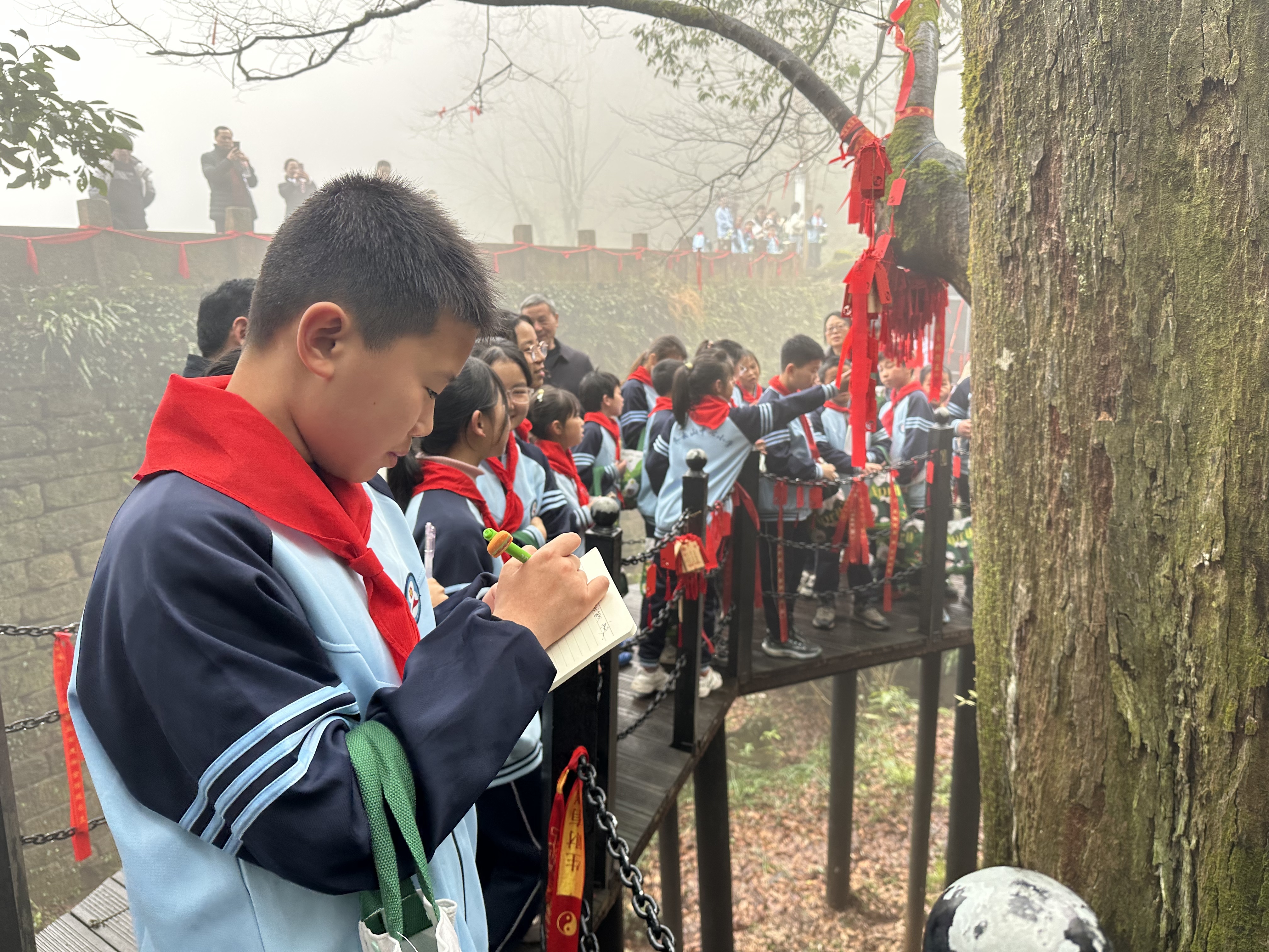安徽休宁县：和齐云古树来一场绿色“约会”