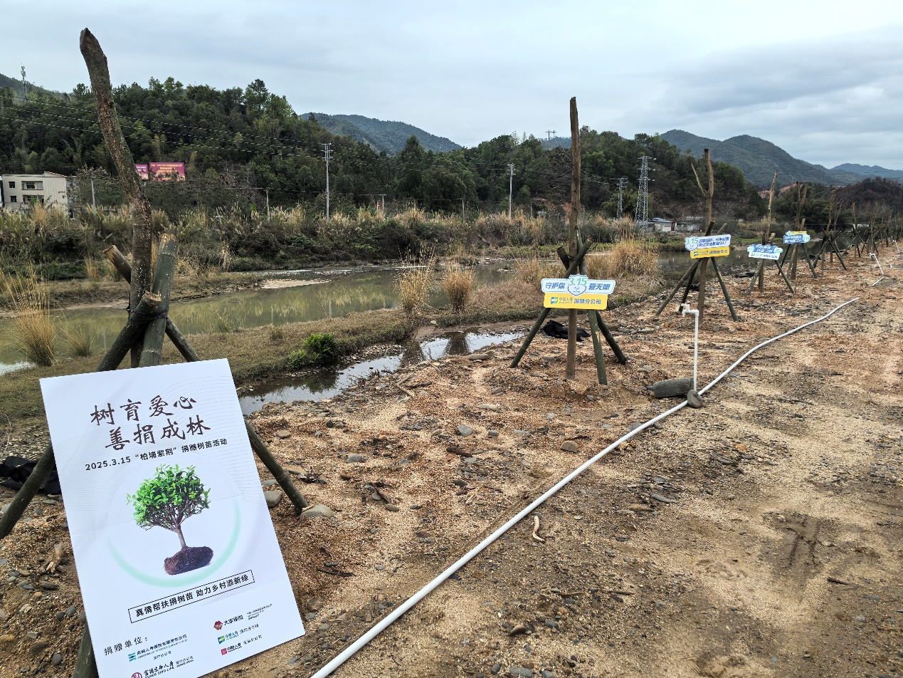 中英人寿深圳分公司联合多家同业开展"柏埔紫荆"公益行动