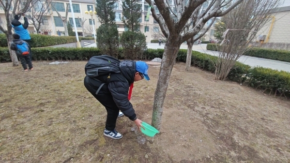 华亭萌娃变身“树管家”　环保玩成沉浸式养成游戏