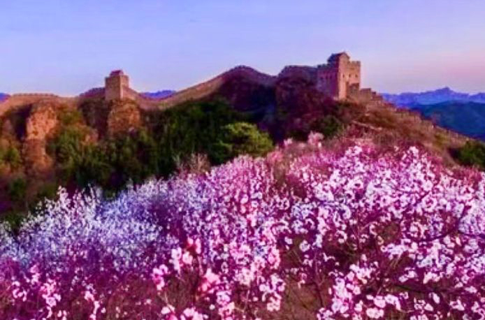 阮莲芬诗词欣赏：奇迹留青史　千古阅沧桑