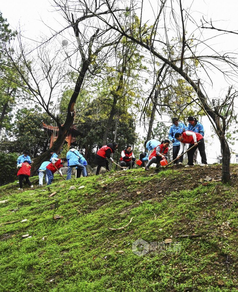 增添新绿（图）