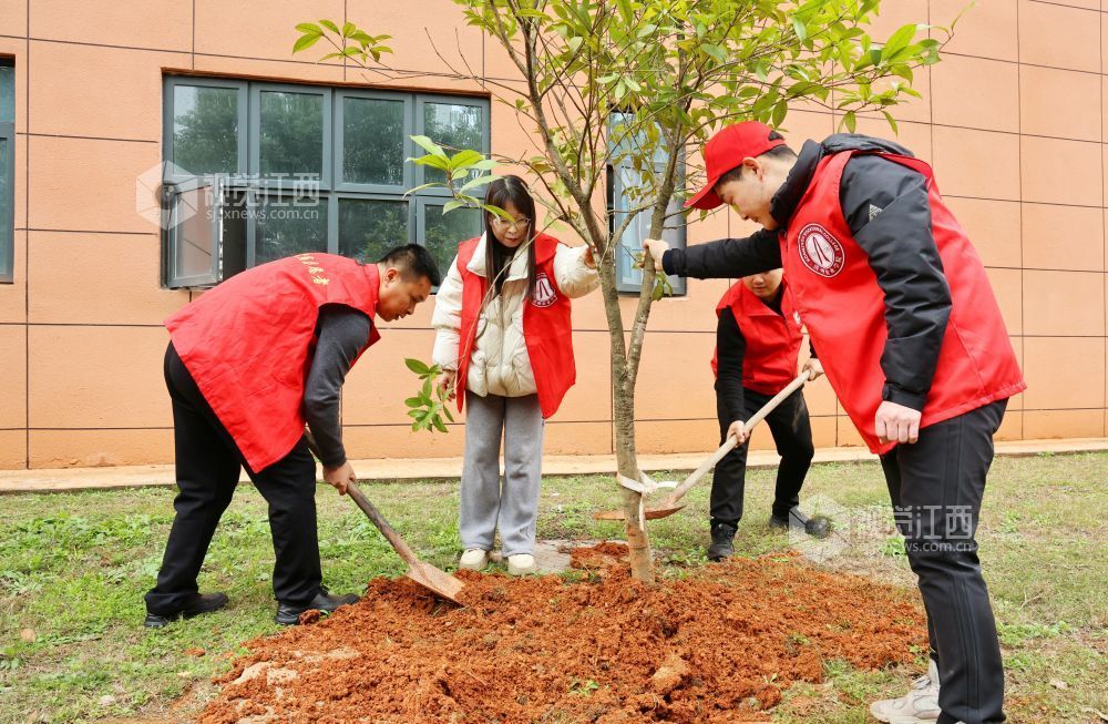 增添新绿（图）
