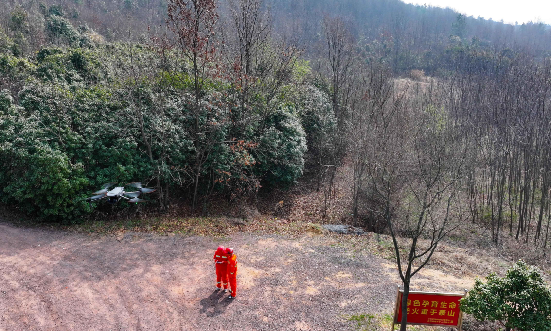 （图为：2025年3月10日，在安徽省合肥市肥西县铭传乡林区，两名90后乡村护林队队员用无人机开展巡山护林工作。）