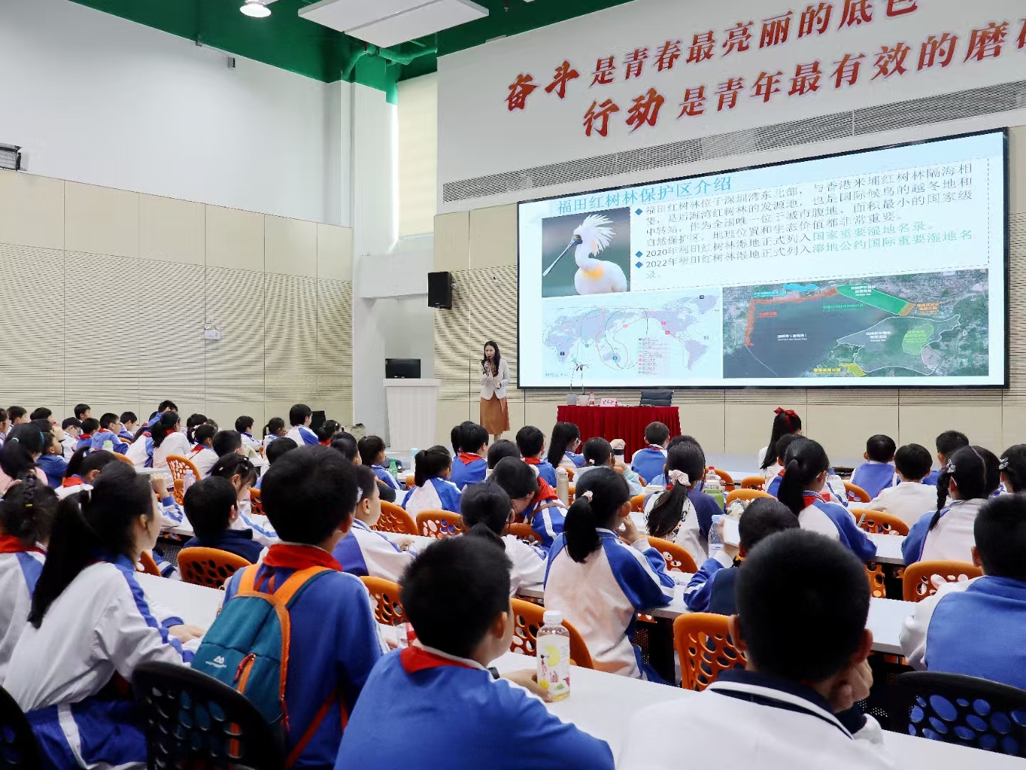 胡柳柳老师介绍红树林知识