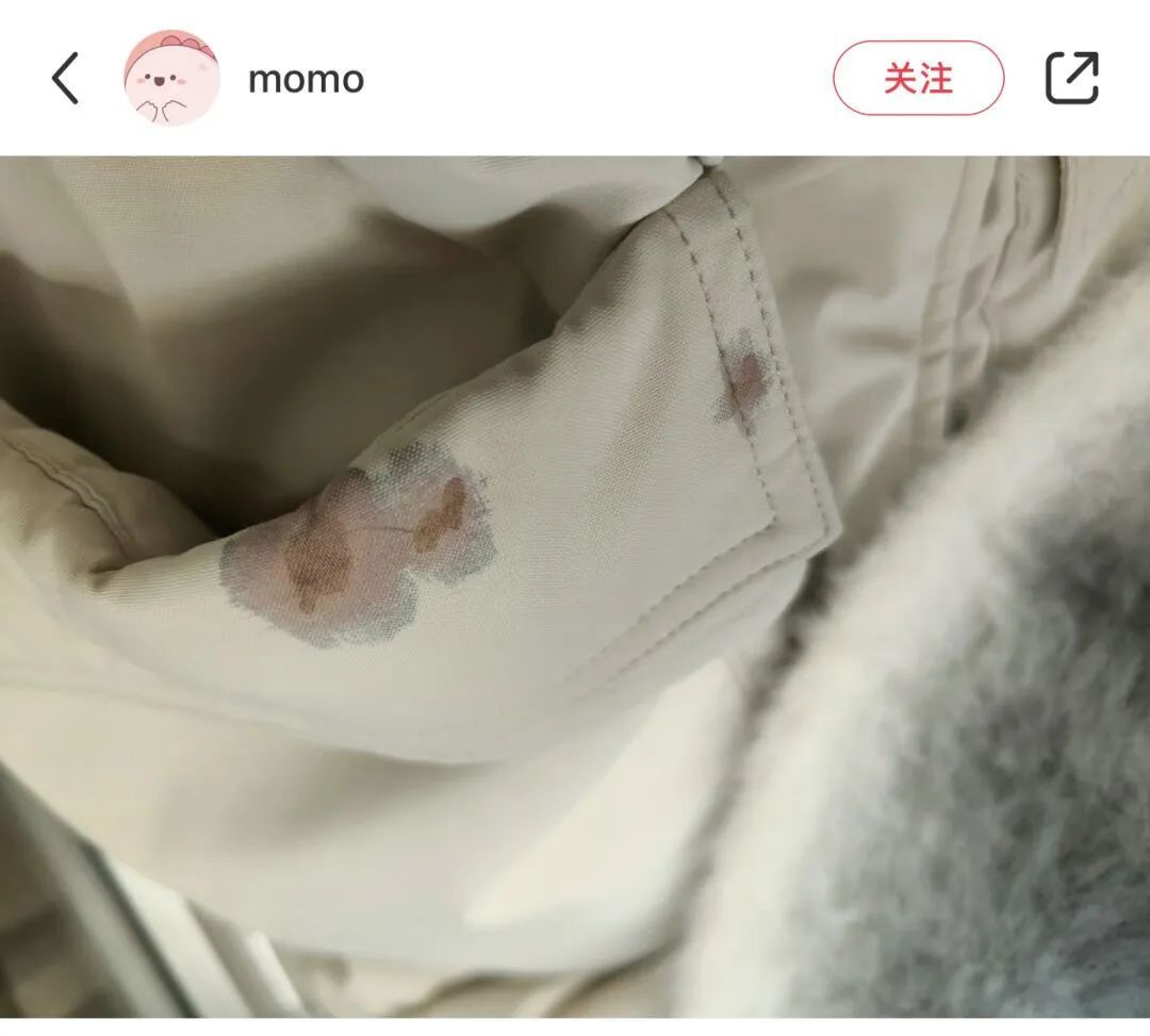 江西街头大量出现“黑珍珠” 提醒：不要踩 汁液粘在地上难清理