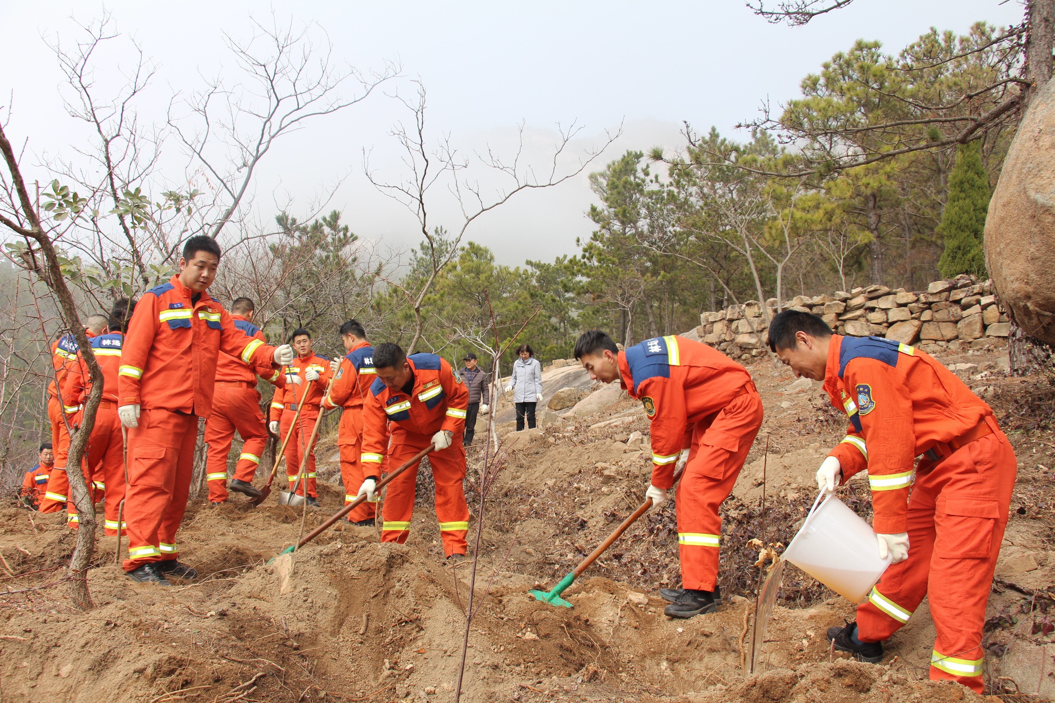 崂山区全民共植绿色希望 实干绘就生态新画卷