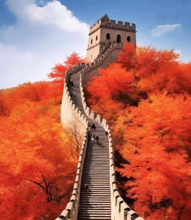 阮莲芬诗词欣赏：奇迹留青史　千古阅沧桑