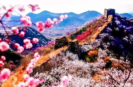 阮莲芬诗词欣赏：奇迹留青史　千古阅沧桑