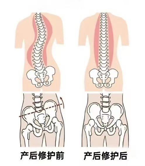C:/Users/Admin/Desktop/脊柱.jpg脊柱