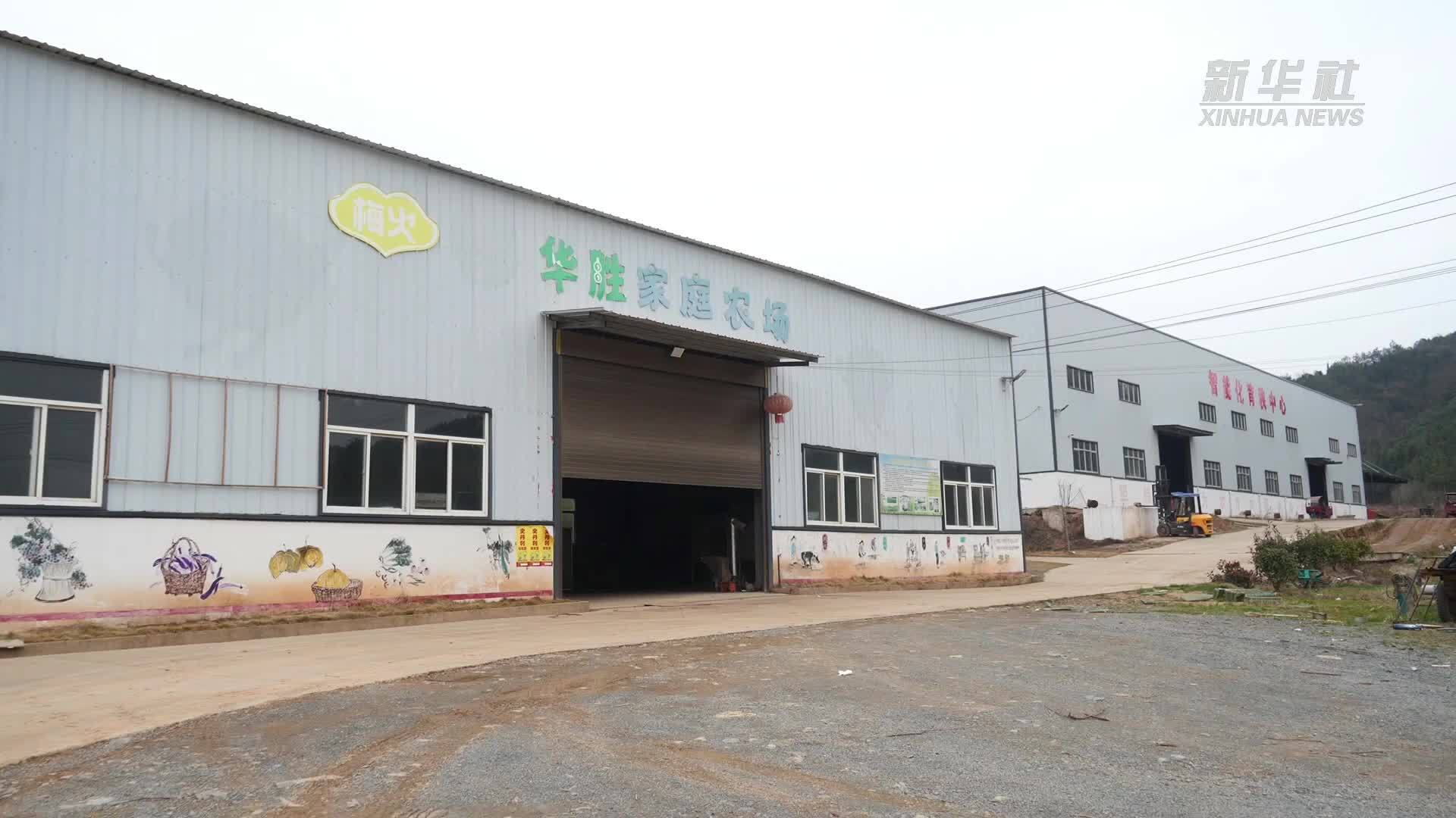 江西鄱阳：春耕时节 种粮大户备耕忙