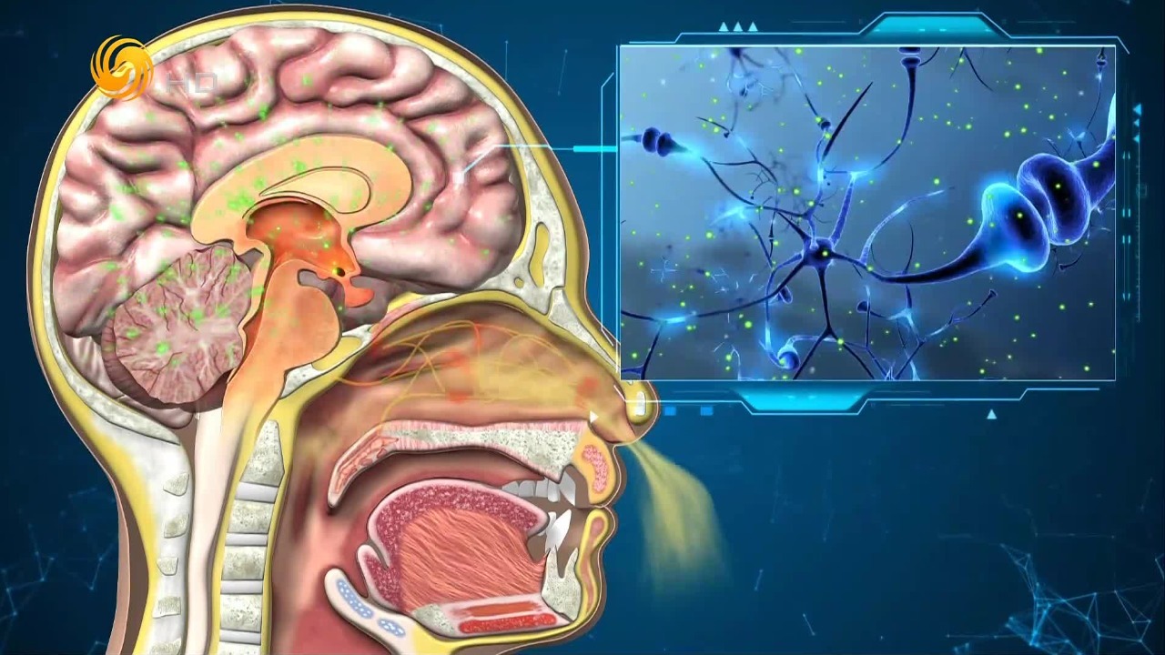 帕金森病有望通过它得到治愈？