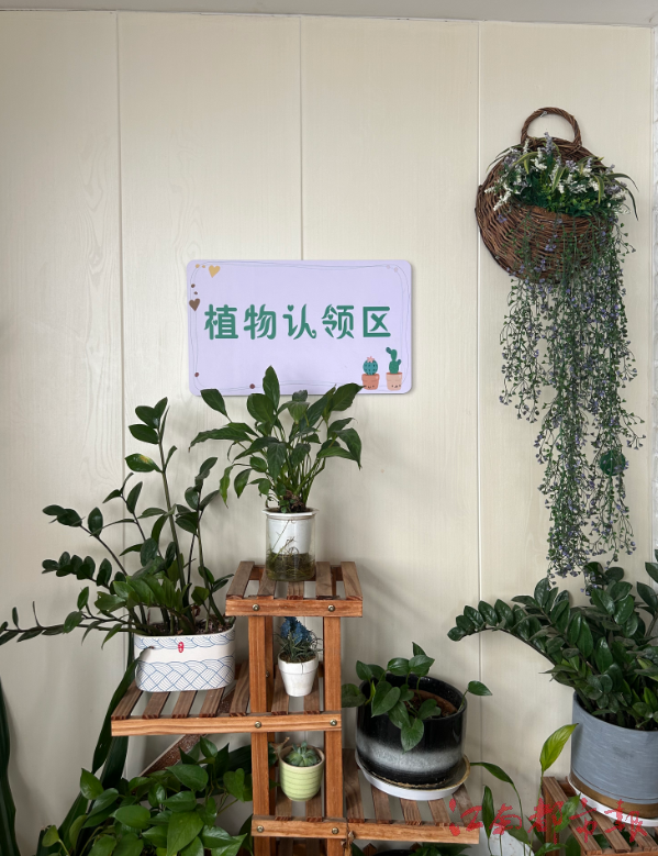 探访江西首家安宁疗护试点病房:让患者有尊严度过最后时光