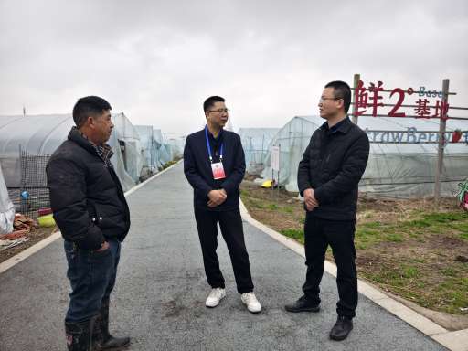 草莓飘香引客来 咸祥人大代表“鲜2°”共富舱打开新销路