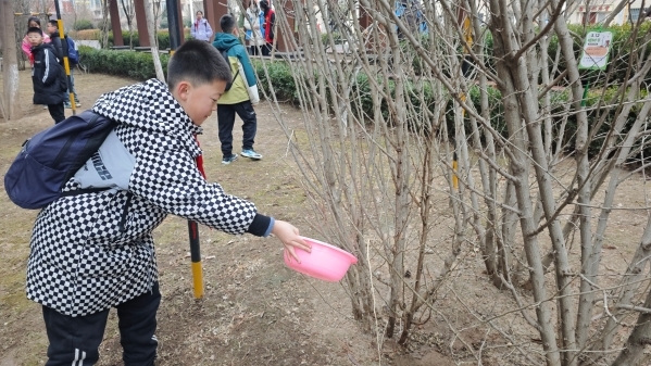 华亭萌娃变身“树管家”　环保玩成沉浸式养成游戏