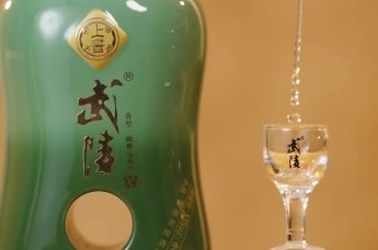 多藏一年•武陵酱香