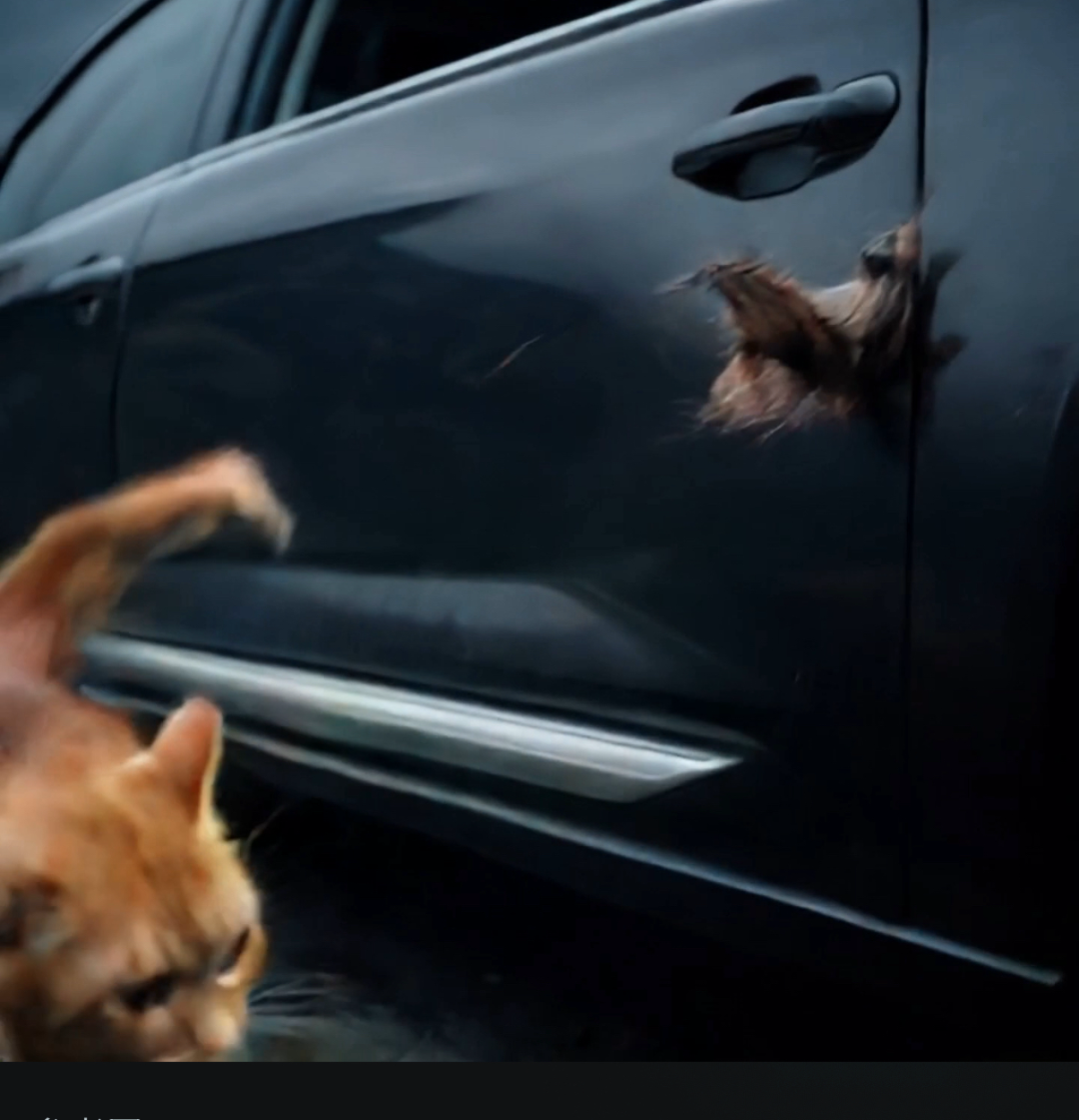 AI视频渗透老年朋友圈:假孙子、情感代偿和新时代微商