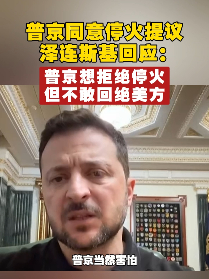 普京同意停火提议，泽连斯基回应：普京想拒绝停火，但不敢回绝美方 #泽连斯基  #俄乌冲突   #特朗普