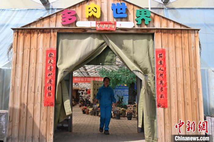 3月12日，在甘肃省兰州市红古区鑫源现代农业科技示范园内的“多肉世界”。中新社记者　九美旦增　摄