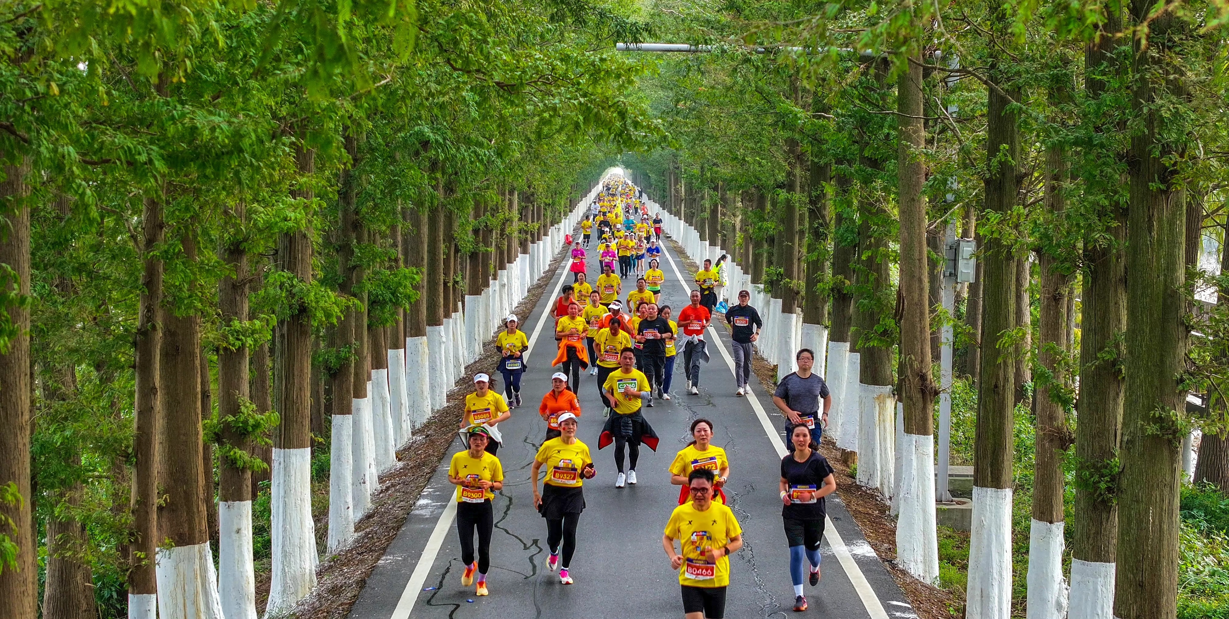 2025潜江返湾湖半程马拉松即将鸣枪起跑，报名火热进行中