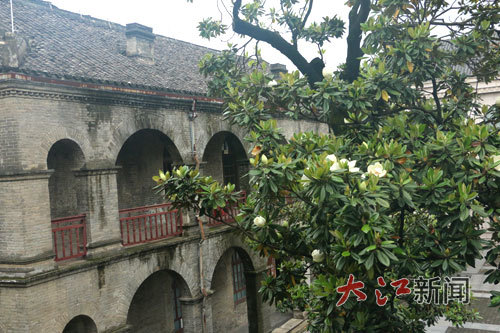 一株百岁广玉兰亭亭立于旧址楼前(南昌新四军军部旧址陈列馆供图)