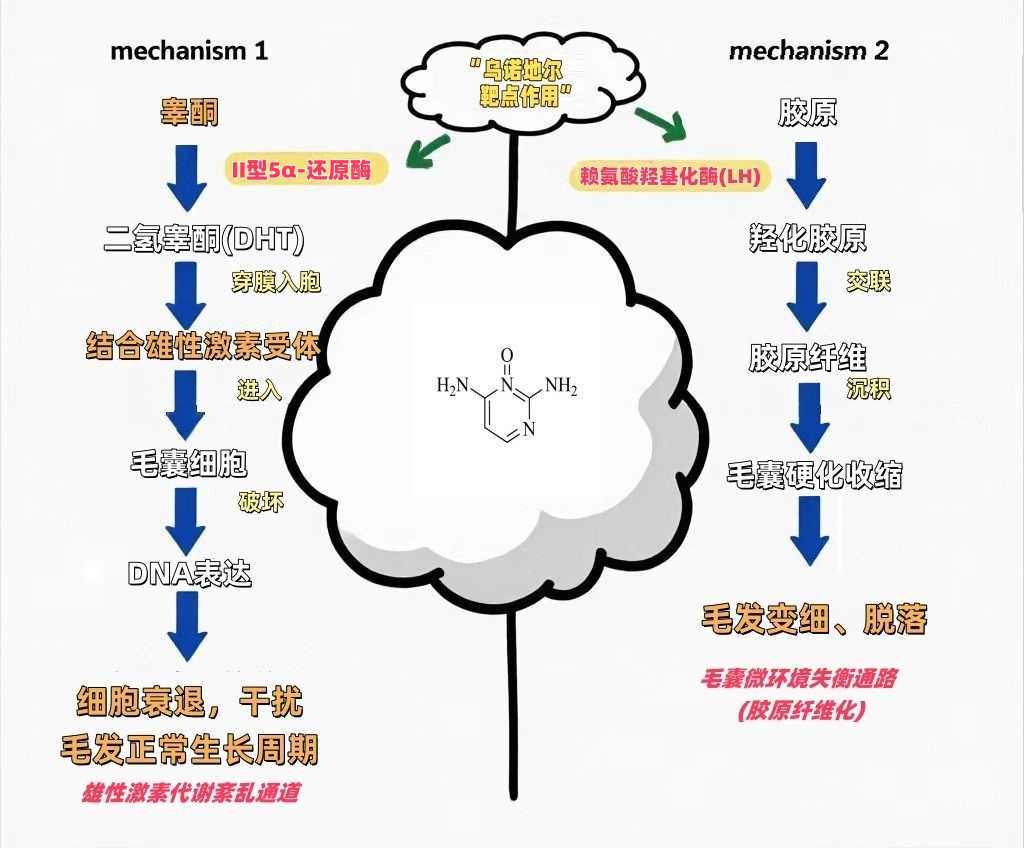 点击查看原始图片
