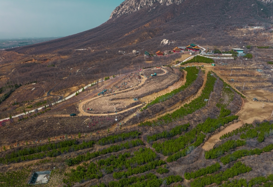 石道乡组织开展“植此春光 乡货满仓”春季植树节暨优质农产品展销活动