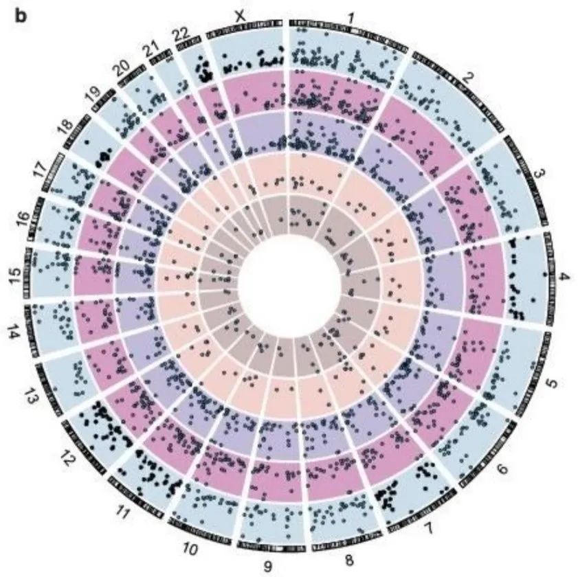 (图1 ARABIC1DdCBE能够产生广泛的核基因组脱靶编辑)