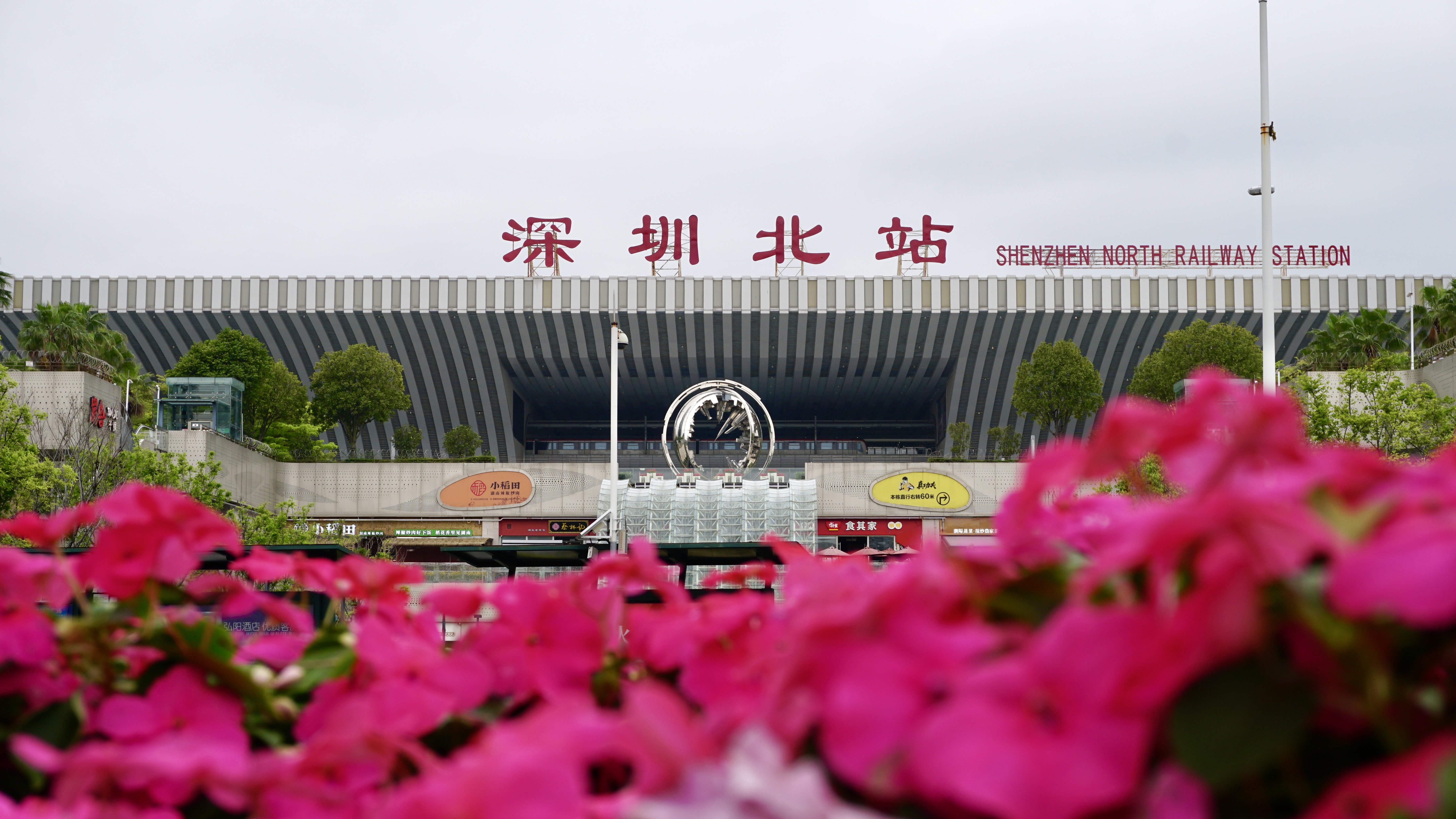 筑梦湾区花路 铁路铺就春日文旅通途