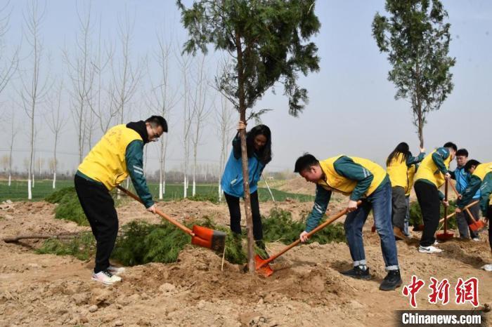 在菏泽市鄄城县富春镇尧陵植树现场，民众在挥锹培土。鄄城县委宣传部