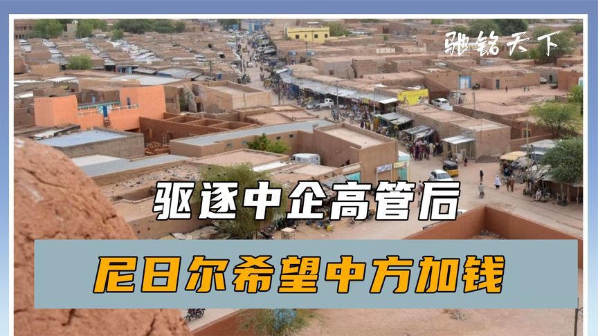 驱逐中企高管后，尼日尔公开发声：薪资差距太大，希望中方加钱