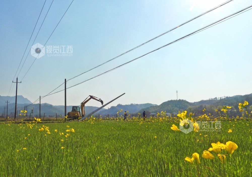 鷹潭：電網改造升級（圖）