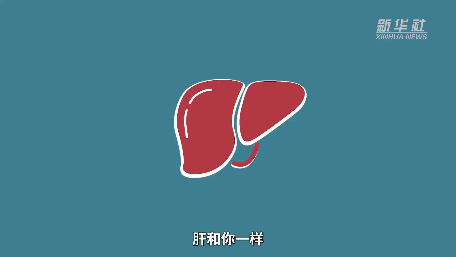 全国爱肝日：人可以硬气，肝不能硬