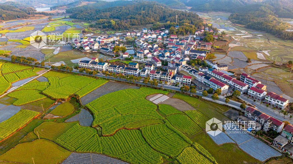 2025年3月19日在江西省吉安市峡江县砚溪镇拍摄。
