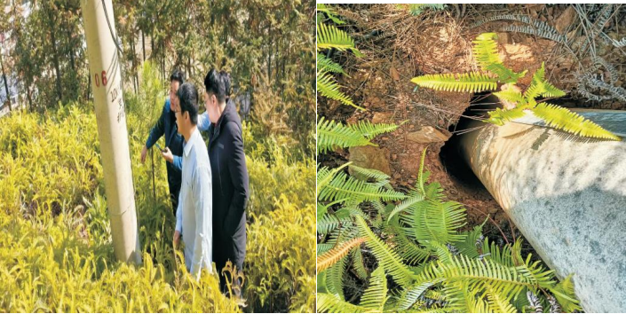 现场查看高压杆线情况