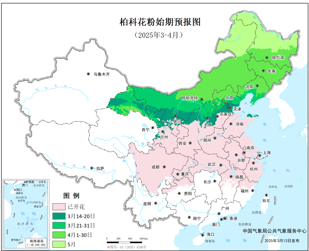 全国柏科花粉始期预报