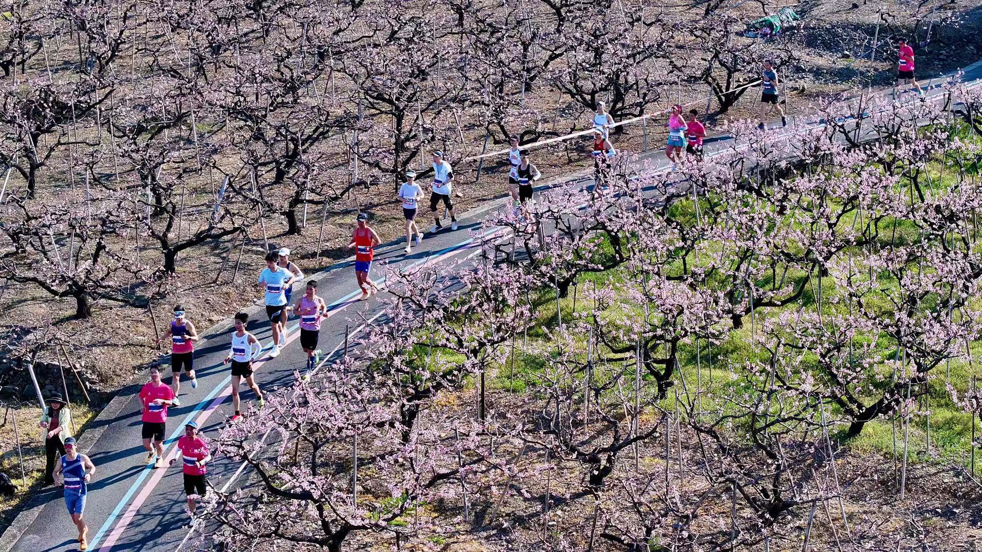 阳春三月共赴浪漫“桃花源”！2025奉化马拉松鸣枪开跑