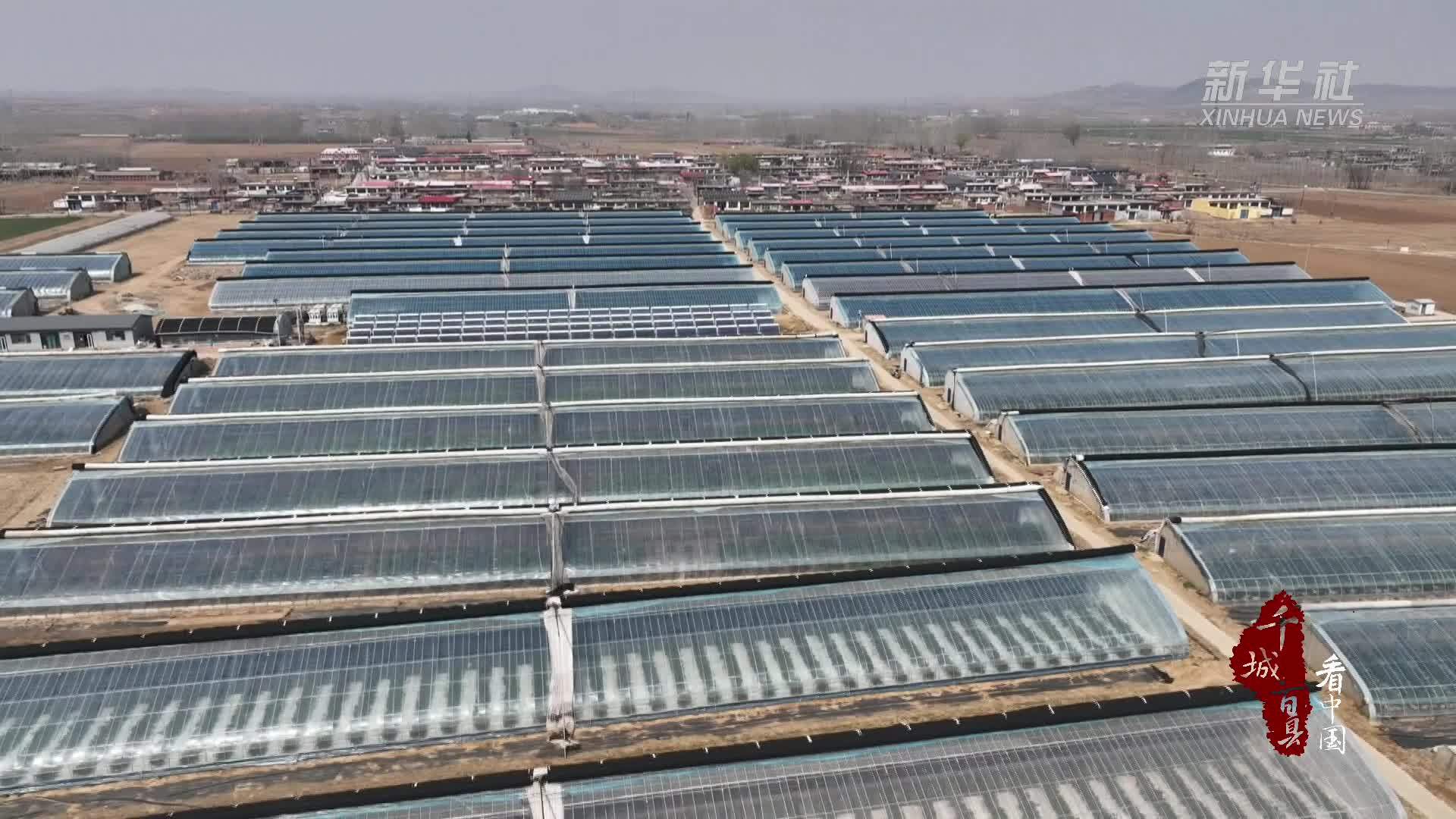 千城百县看中国｜河北卢龙：科技点亮“蓝色”致富路