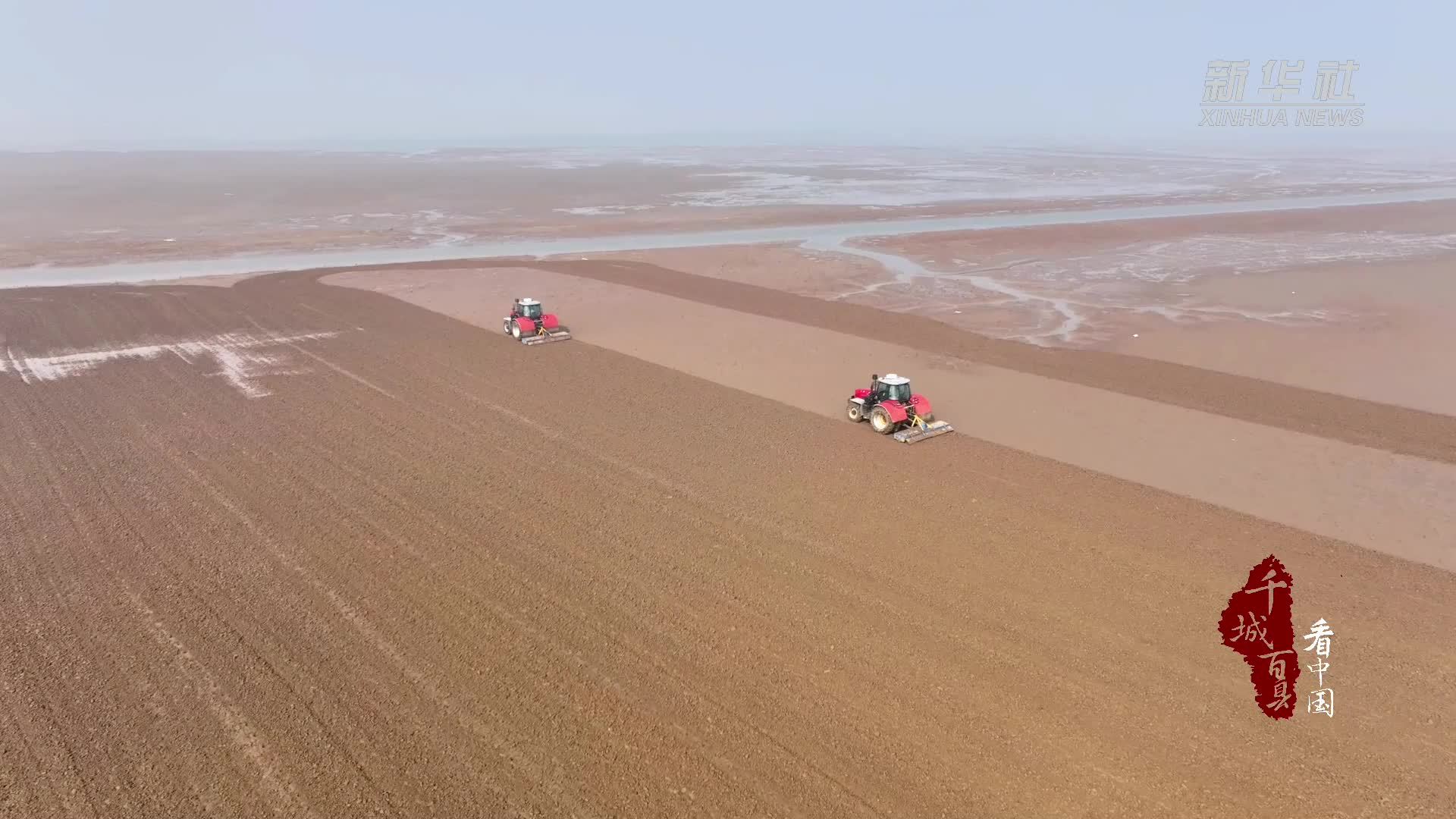 千城百县看中国｜山东东营：盐碱地上的特别“春耕”