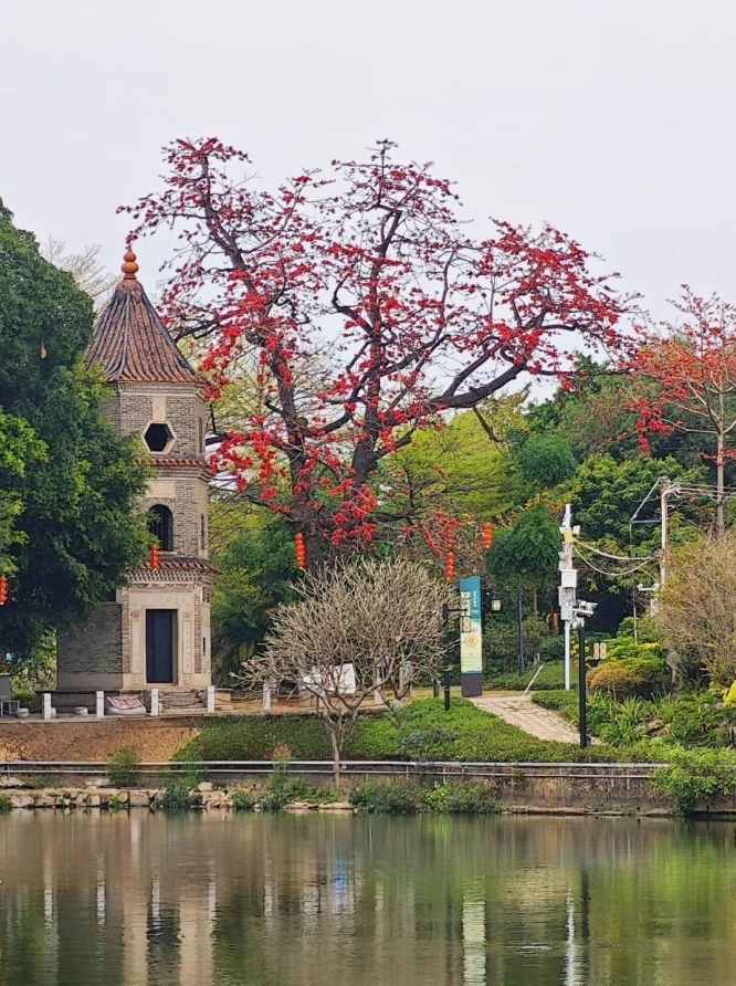 图:木棉树与“文房四宝”景观组成一幅古村山水画卷。凤凰网广东佛山频道 邓志毅 摄
