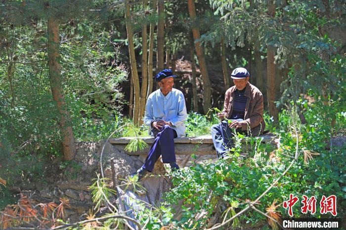 6月上旬，“刚强兄弟”在少年时梦想中的“绿水青山”中歇息。甘肃省林业和草原局供图